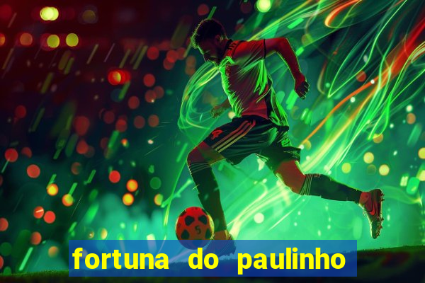 fortuna do paulinho do roupa nova